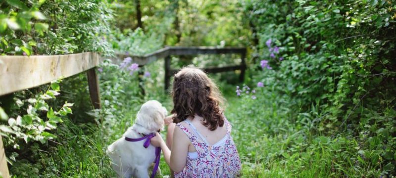 beautiful-blue-flowers-child-193035