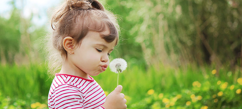 girl blowing dandelions in the air. selective focus.