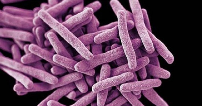 25A00A5F-BAFE-4453-B541-FE03AA4FAA53