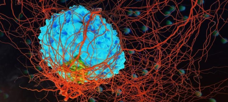 B81BD48E-37BB-41B3-8594-120EE1C0CE70