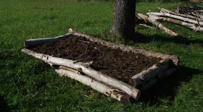 41DF6E6B-0B03-45DA-B91B-7195521C4A67