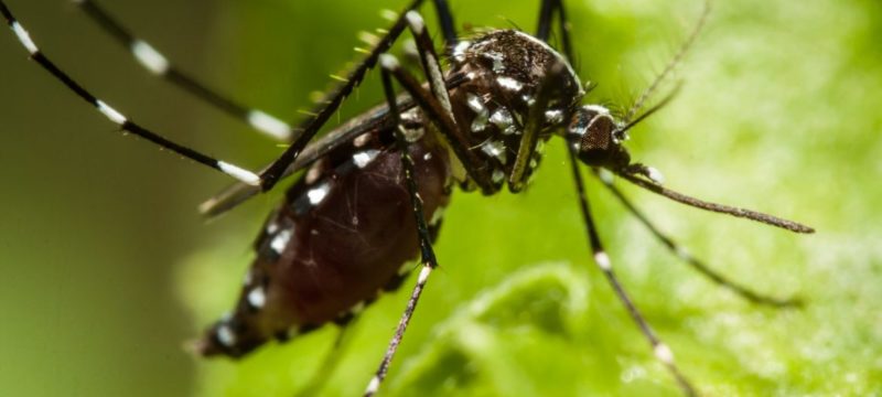 AE1B4378-CEB6-44AC-B85C-307FED83998D