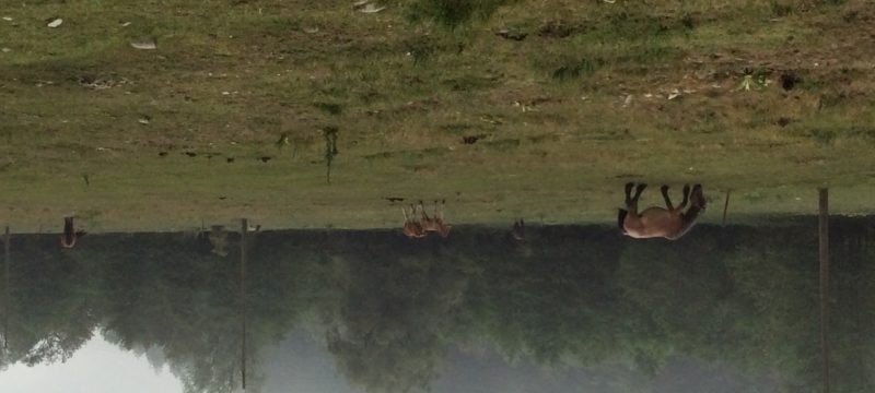 0F2520CD-E94E-434E-98F9-7453BED3B545