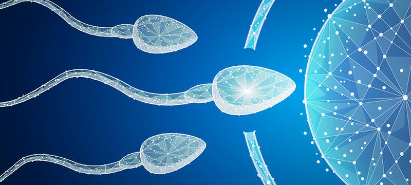 10EBD5F6-62AF-4FB7-87BE-54C023CA5657