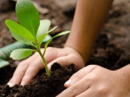 1B98BDE5-07FE-434F-B31B-DD76CCBD5A49