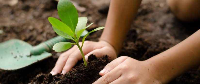 Αξιοθαύμαστη η δράση της ELPEN: Ξαναπρασινίζουμε τον τόπο μας.