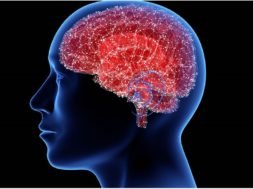 557478DC-B6F6-4A3D-BEC2-F0506AF415F6