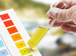 6C9E00B1-4271-46AC-B92E-A588F5836404