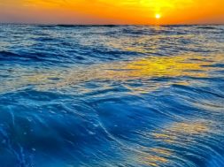 CF8D1962-5D4A-4166-ADB2-2D8D714C2D45