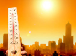 F9A5D915-8058-463F-A9A1-C8AC26659DEC