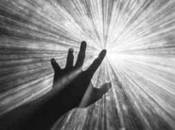 2203546C-8FA6-4BA5-9514-24F62CD59D4E