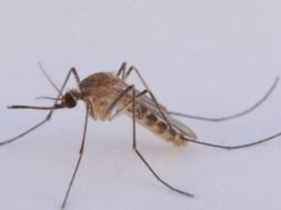 23C5A873-A589-4B36-ACC2-DED498F8DC05