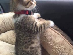 24553947-DC90-4706-9BA2-FC22D9F34D3A