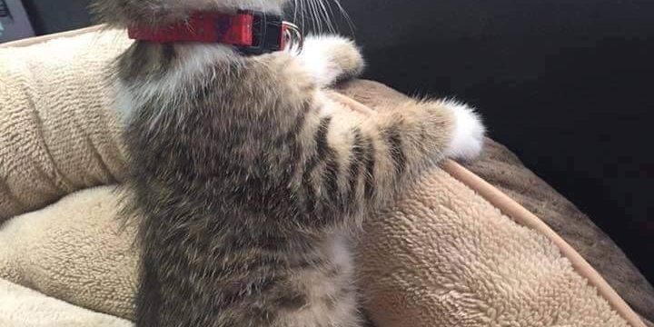 24553947-DC90-4706-9BA2-FC22D9F34D3A