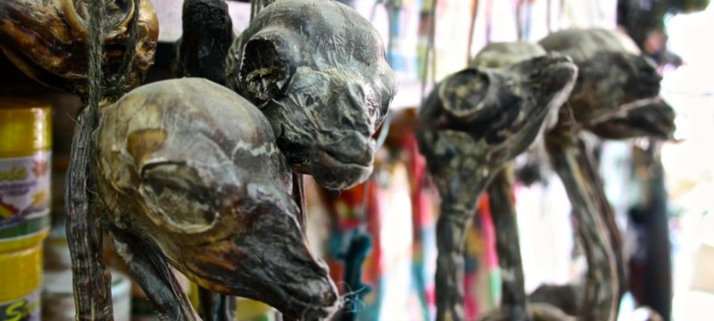 32033360-8B0E-4A18-BC59-D843DCDB999F