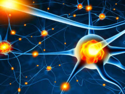 532A9B7B-75CD-4195-8FDC-09B610BE3E22