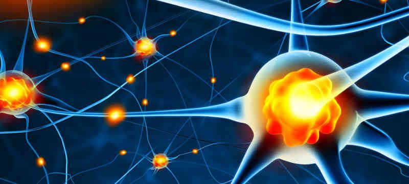 532A9B7B-75CD-4195-8FDC-09B610BE3E22