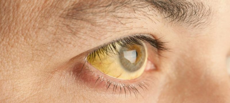 5500053F-9D81-4AA8-B92E-CA03FDCD86CA