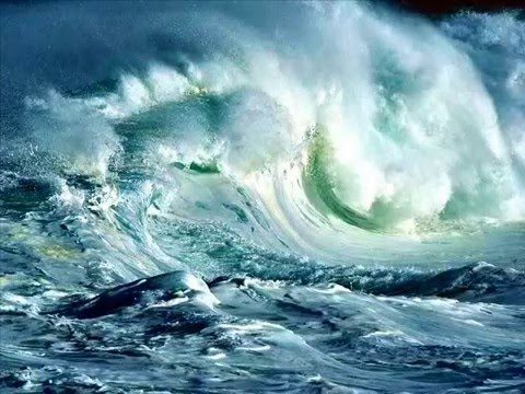 614DE0BA-F6B0-4C4F-AAB4-AE1F5BFF634D