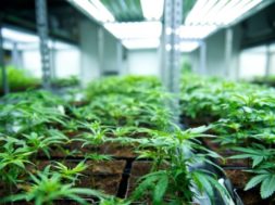 652612E6-4F2D-4C10-9EFD-8D2EA062E1E0