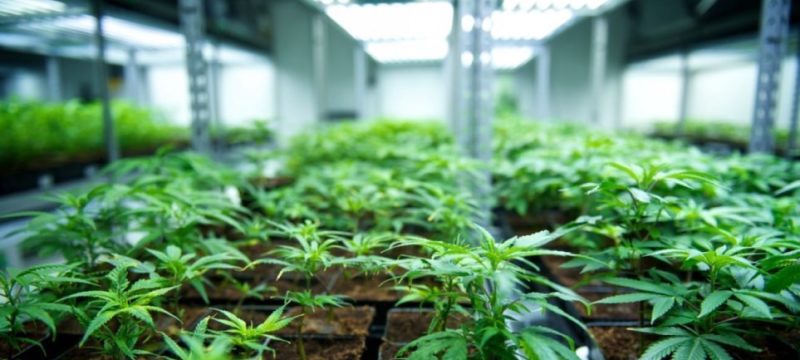 652612E6-4F2D-4C10-9EFD-8D2EA062E1E0