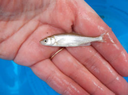 806323E8-5329-4A9B-866E-E6B91A57D161