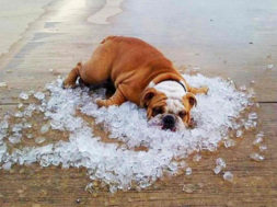 85BC42A7-43FA-4FB1-BFE2-D0EB30207E42