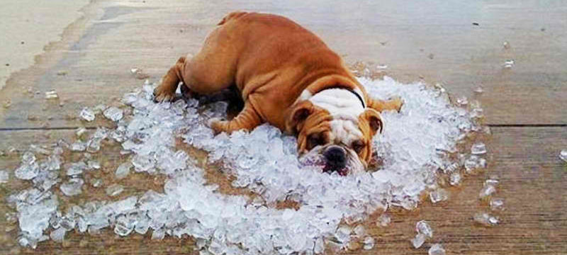 85BC42A7-43FA-4FB1-BFE2-D0EB30207E42