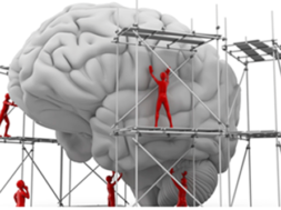 976F45ED-B160-4107-BED0-BEC59C9B6382