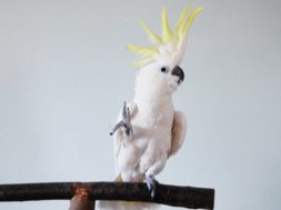 9B41D8F8-4B48-49A8-8255-4C2D19046BBC