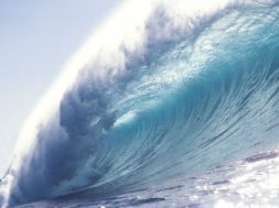 9DA806D0-F7A8-4964-A7EF-E6F26E61E2AB