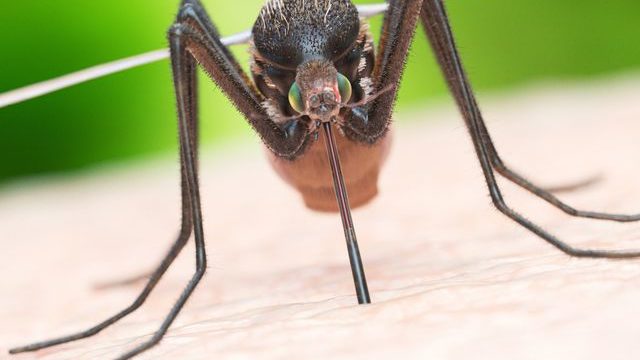 A341CEDB-E0C4-4641-9026-E945A7CE260C