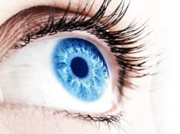 CCCF50E6-0F97-47EB-91CE-512E8950CE0C