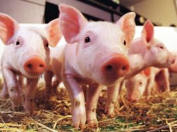 D3B93BAA-1037-4421-8BAB-FCB782CF0BB8