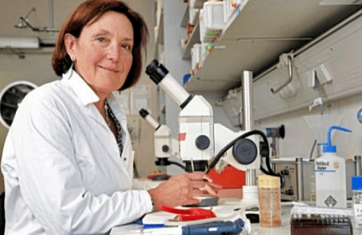 Σε δολοφονία αποδίδεται ο θάνατος της βιολόγου στην Κρήτη.