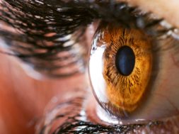 E5BCAD6C-6743-4180-B1F5-C8C32C707AF5