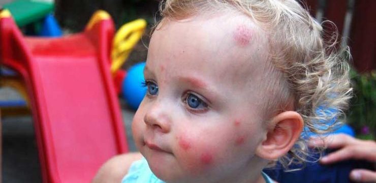 FC61B004-EEA9-447B-9F96-429534151A66