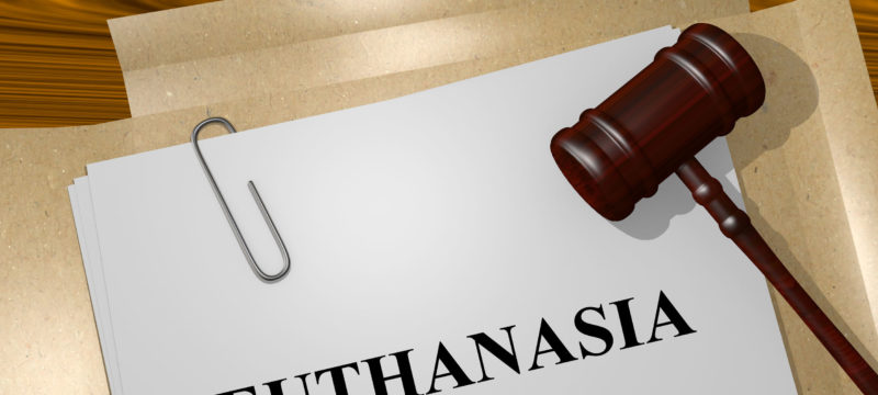 47834157 – render illustration of euthanasia title on legal documents