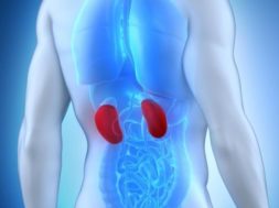 0EB05A8D-F897-4D7A-BDCE-7AB32D248D7A