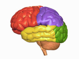 338484B7-C960-4DC4-AEEA-1363FAE2E15D