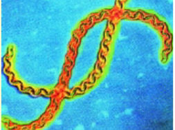 6898825A-2D6A-4066-B27E-8F77128D2A49