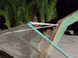 72767256-7FE2-42B8-B2B8-B8B230EB9237