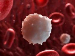 9211B665-60CD-4A4C-B4D2-660F2B64A234