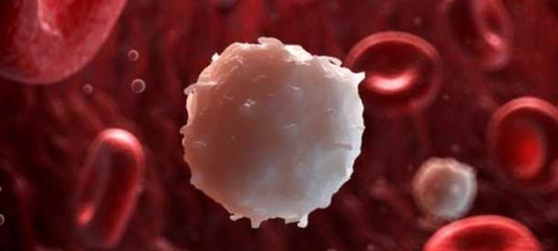 9211B665-60CD-4A4C-B4D2-660F2B64A234