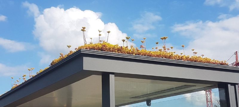 A3C8E346-F0D5-4384-B5B2-907788310659