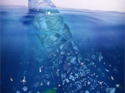 B76936A1-8531-466B-BD3B-A29C067D4329