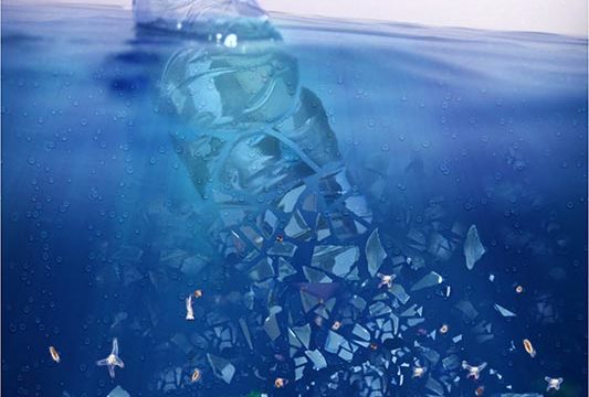 B76936A1-8531-466B-BD3B-A29C067D4329