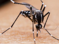 C44E6F67-6CED-437C-839C-3B0B296BDC27