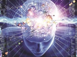 D15501A9-905A-450B-A93C-ABFCFE56A682