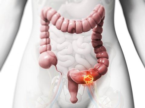 D55CC0A1-5E87-4E80-AEE0-0433D21CE29F